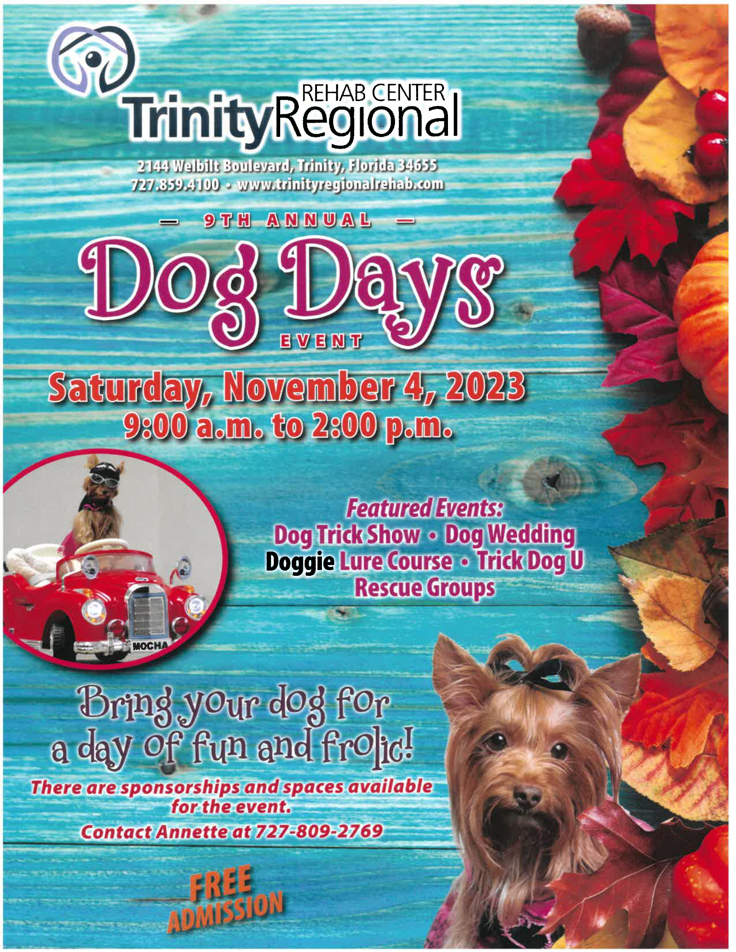 Dog Days Nov 2023 Flyer2
